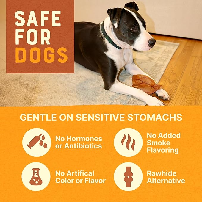 Gaines Pet Pig Ears for Dogs - 5 Pack, Thick Cut, All-Natural Whole Ears - No Additives Or Hormones, Safe Rawhide Alternative, Dental Health, Easy to Digest, Great for Small to Large Dogs
