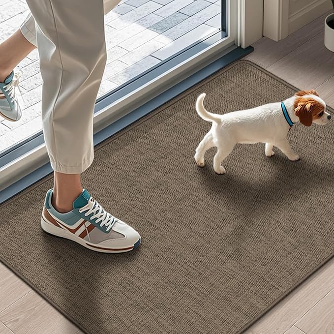 LEKEEPGO Ultra Thin Indoor Door Mat 17"x29", Low-Profile Door Mat Indoor