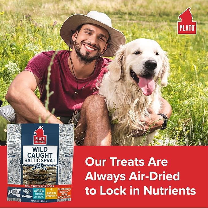Plato Pet Treats Fish Dog Treats - Air-Dried, Single Ingredient Pet Treat - Omega 3 & 6 Fatty Acids to Support Skin and Coat - 100% Whole Fish - Wild Caught Baltic Sprat - 3 oz - 2 Pack