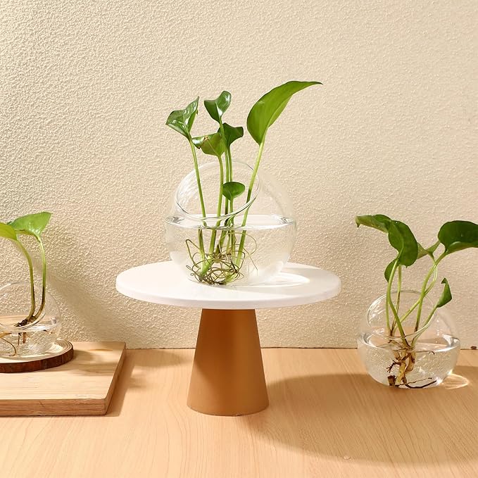 balacoo 3 Pcs Glass Terrariums Bowl for Plants, Terrarium Jar for Air Plant Clear Globe Vase Glass Bowl for Home Desktop Decor