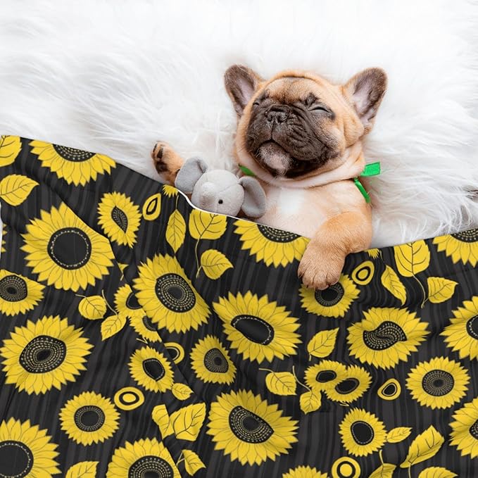 Double Sided Plush Pet Blanket with Cozy Dot Texture and Smooth Reverse, Abstract Yellow Sunflower, Reversible Throw for Dogs Cats on Couches Beds Crates