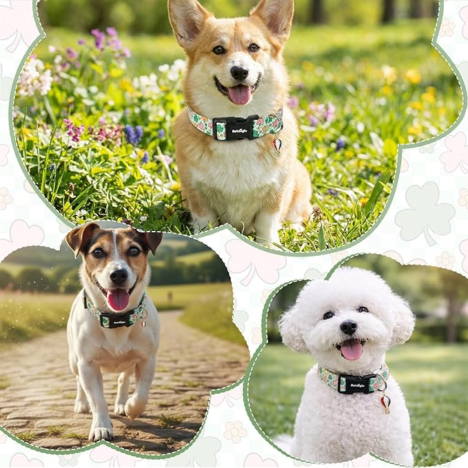 St. Patrick's Day Dog Collar,Puppy Collar with Lucky Shamrock Chequered Pattern,Adjustable Spring Cotton Collars Gifts for Small Medium Large Dogs,Dog Accessories L