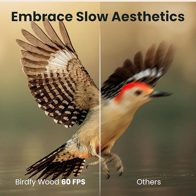 Birdfy Smart Bird Feeder with Camera Solar Powered, Slow-Motion Video & Night Insight, AI Identify 6000+ Species Lifetime Free, Ideal for Outdoors Bird Watching & Gifts for BirdLovers, Wood