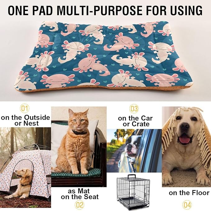 Cute Axolotl Pet Bed Cute Dog Bed Mat Absorbing Non Slip Pad Pet Sleeping Mat for Small, Medium, and Large Dogs Puppy Cat 24 in x 18 in