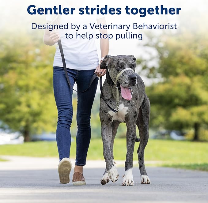 PetSafe Gentle Leader Headcollar No-Pull Dog Collar - Helps Improve Walks - Durable Nylon Construction - Padded Nose Loop - Adjustable Fit - Comfort Walking Halter - Large, Charcoal (Pack of 6)