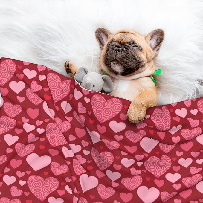 Red Blanket for Pet - Heart Love Throw Blanket 40x30 Pink Couch Blankets for Puppy Dogs Cats