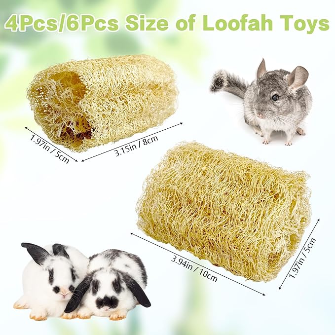 BNOSDM Bunny Chew Toys Natural Loofah 4PCS Bunny Teeth Grinding Toy Rabbit Fiber-Rich Treats Pet Entertainment Accessories for Rabbits Chinchillas Guinea Pig（XL）