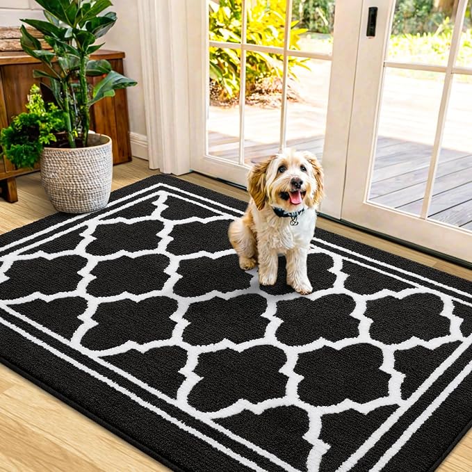 Buganda Indoor Door Mat, Dirt-Resistant and Absorbent Doormat, Low Profile