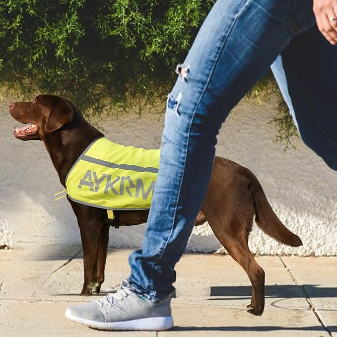 Yellow Reflective Dog Vest for Small, High Visibility Dog Safety Vest Harness with Removable Bell Keep Safe from Hunting, Training & Cars Accidents