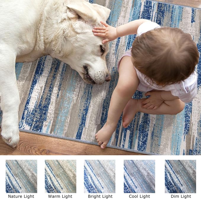 Lansny Small Abstract Area Rug, Entryway Rug Washable Door Mat Indoor Entrance