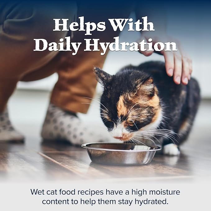 Blue Buffalo Wilderness Wild Delights Minced Wet Cat Food, High-Protein & Grain-Free, Made with Natural Ingredients, Chicken & Trout Recipe in Tasty Gravy, 5.5-oz. Cans (24 Count)
