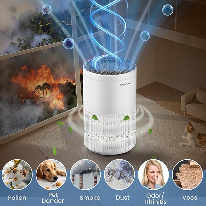 Air Purifiers for Bedroom Home, Air Purifier