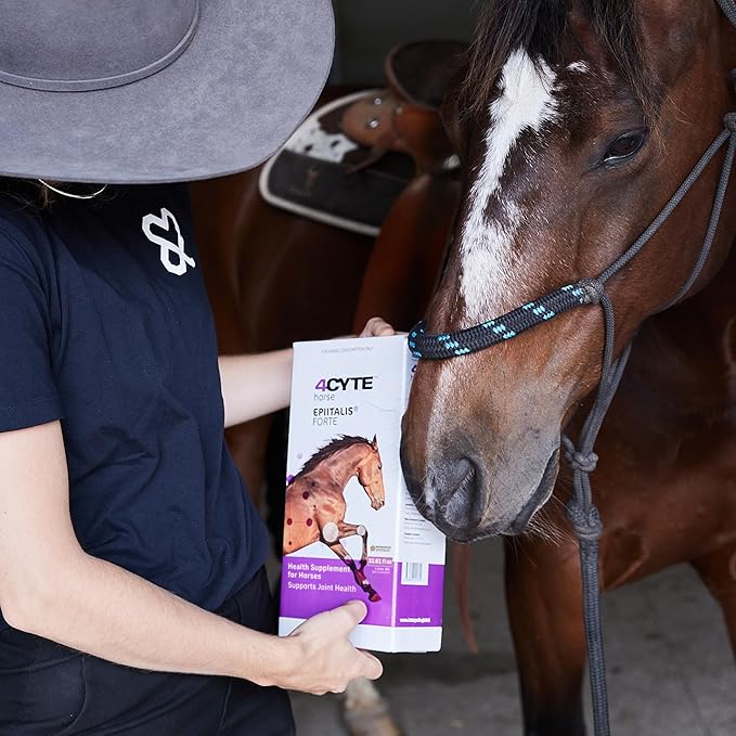 4CYTE Epiitalis® Forte Horse 1L/33.8 fl oz