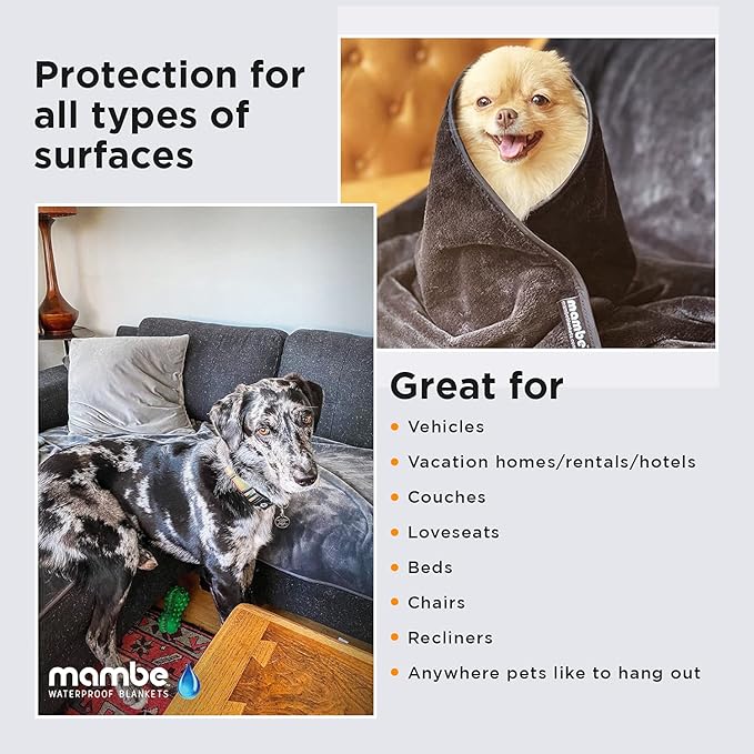 Mambe Non-Slip Pet Blanket Small, Cappuccino - Soft and Silky Waterproof Throw - Machine Washable Fleece - for Protecting Furniture from Stains and Accidents - for Dog and Pet Fur