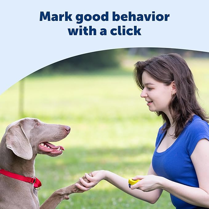PetSafe Clik-R Training Tool – Clicker Trainer for Dogs – Positive Reinforcement – Dog Training Marker – All Stages of Life – Ergonomic Design – Clear Click Sound