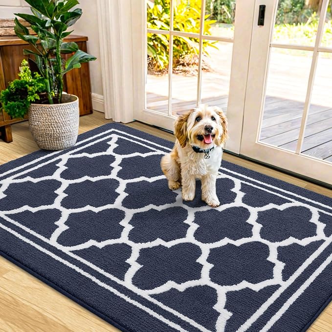 Buganda Indoor Door Mat, Dirt-Resistant and Absorbent Doormat, Low Profile