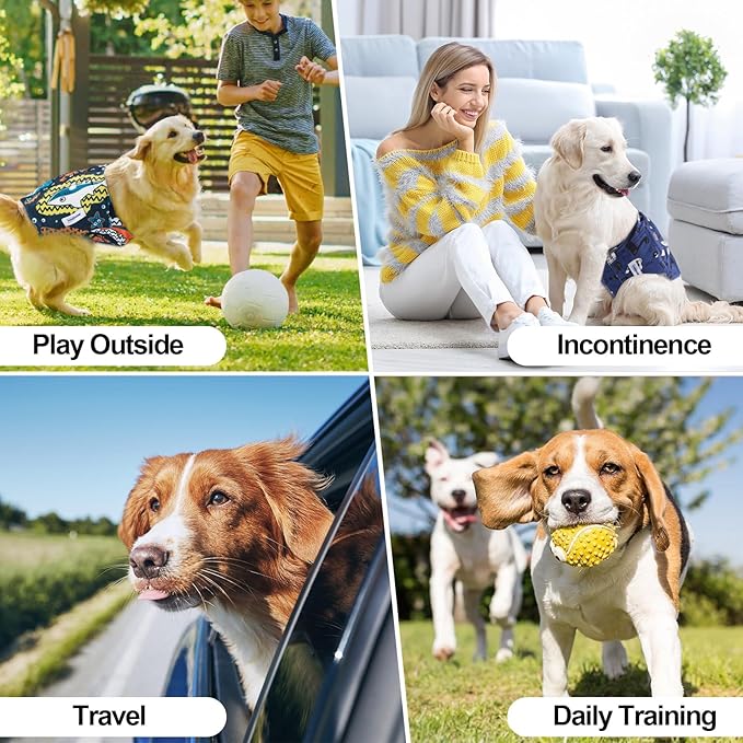 Washable Dog Diapers Male Reusable, Premium Belly Bands for Male Dogs Small, Pack of 3, High Absorbing Small Male Dog Pee Wraps for Doggie in Incontinence or Excitable Urination and Training(S)