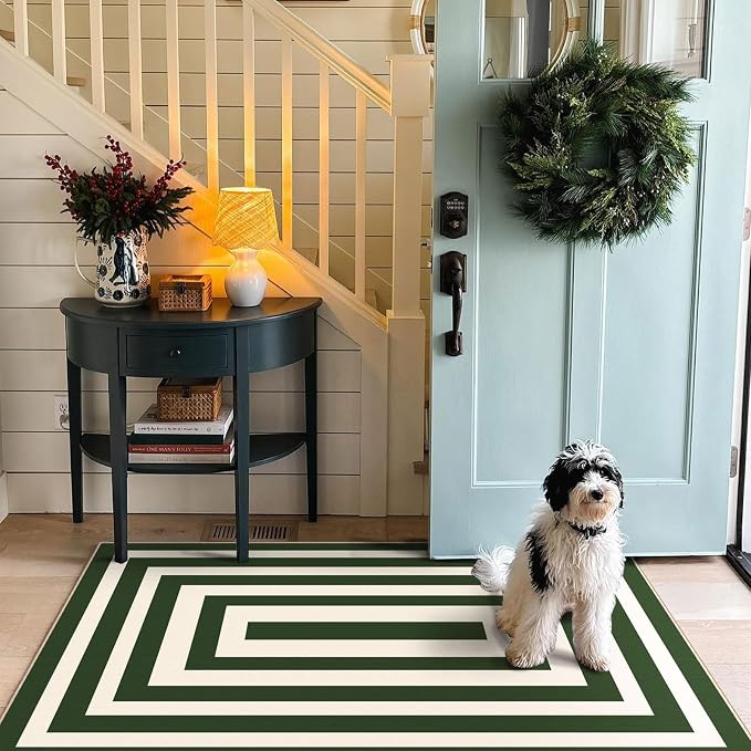 3x5 Modern Entry Rug