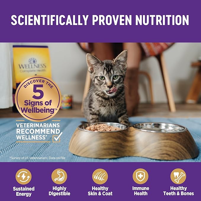 Wellness Complete Health Pate Adult Wet Cat Food, Natural, Protein-Rich, Grain Free, 3 Ounce, 24 Pack, (Chicken)
