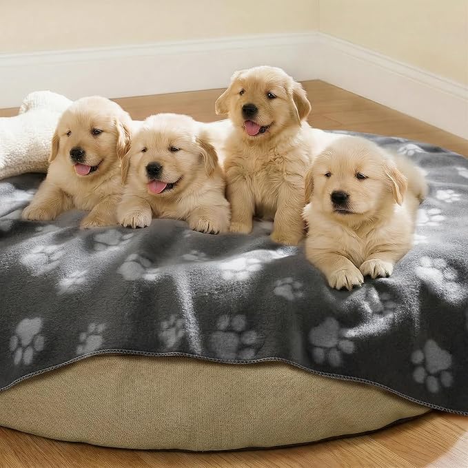 LINENLUX Cute Dog Blanket for Small Medium Dogs 6-Pack Soft Stretchy Fleece Blankets for Pet Cat Puppy Warm Wrinkle-Resistant Throw for Couch Bed Outdoor Grey 31x24 inch (Pack of 6)