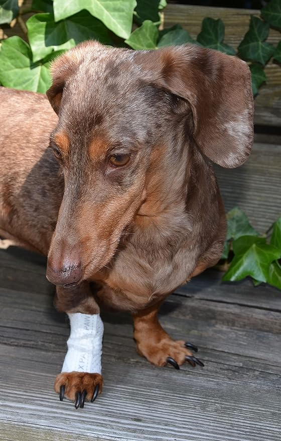 Protective Sleeve Tubular Cover - Bandages - for Dogs Cats and Other Pets First Aid Wound Care Comfortable Non-Adhesive Breathable & Water Resistant 12 Strips (yields 24-36 Covers)-(Large)