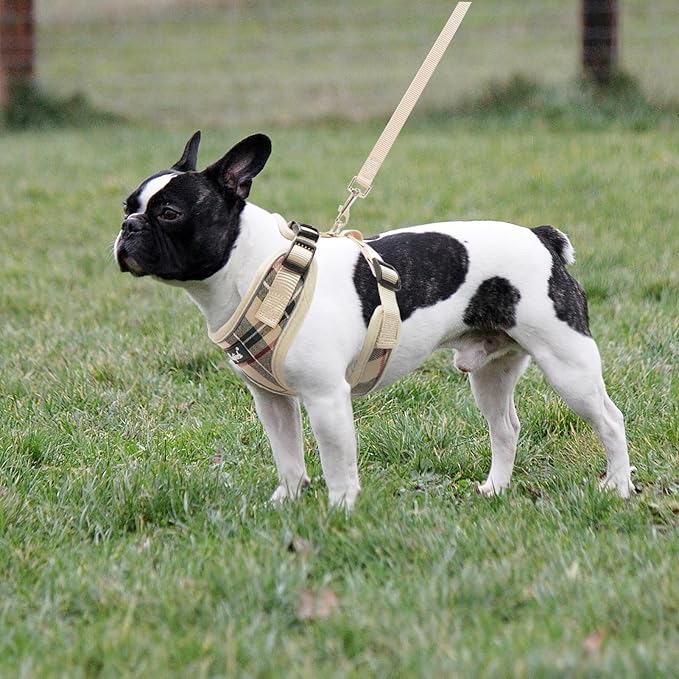 PUPTECK Soft Mesh Dog Harness and Leash Set Pet Puppy Cat Adjustable Reflective Padded Vest No Pull Harnesses, Beige, M