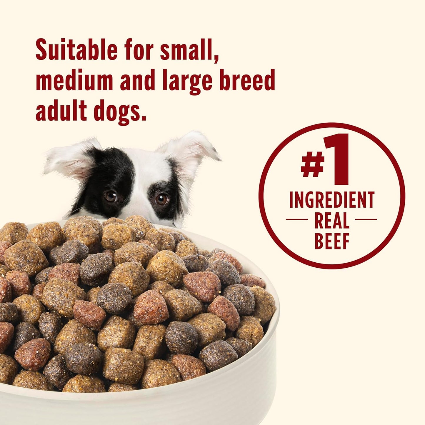 Nutrish Real Beef, Pea & Brown Rice Recipe Whole Health Blend Dry Dog Food, 14 lb. Bag, Packaging May Vary (Rachael Ray)
