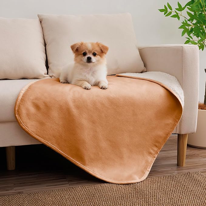 Waterproof Dog Blanket for Small Dog, Leak Proof Pet Couch Sherpa Throw Blankets for Cat, Reversible Sofa Bed Protector Machine Washable-25 x35,Orange