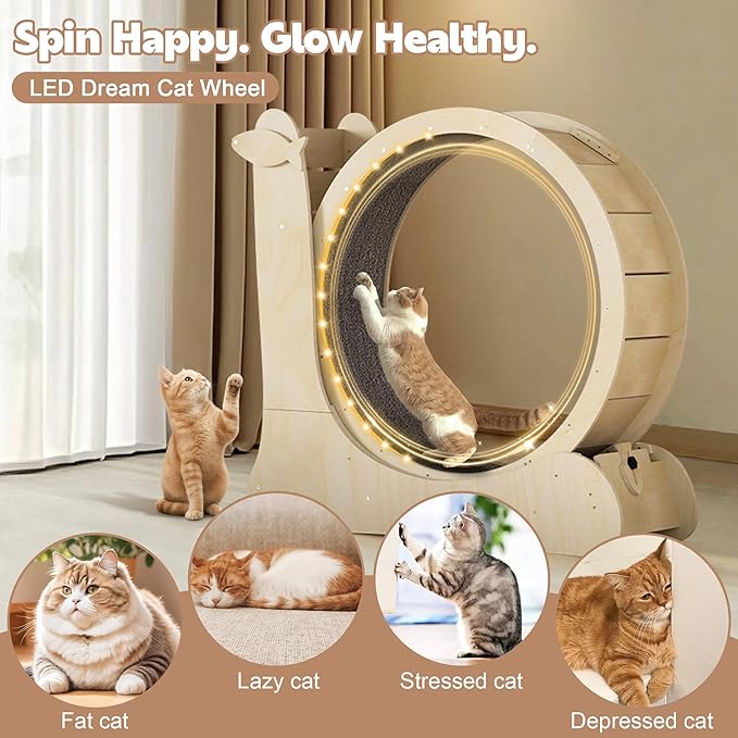 Cat Wheel,LED Cat Wheels for Indoor Cats Fitness,DIY Rainbow Runs,Solid Wood Exercise Wheel Running Treadmill with Color-Changing Light Strips,Scratch Pad and Brake