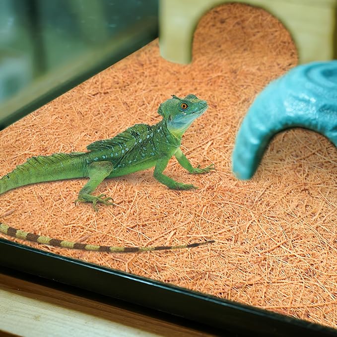 Halatool 2Pack Reptile Carpet 12” X 30” Coconut Fiber Mat for 20 Gallon Reptile Tank Thick Terrarium Bedding Cage Liner Tortoise Habitat Accessories for Turtles Lizard Bearded Dragon Leopard Gecko