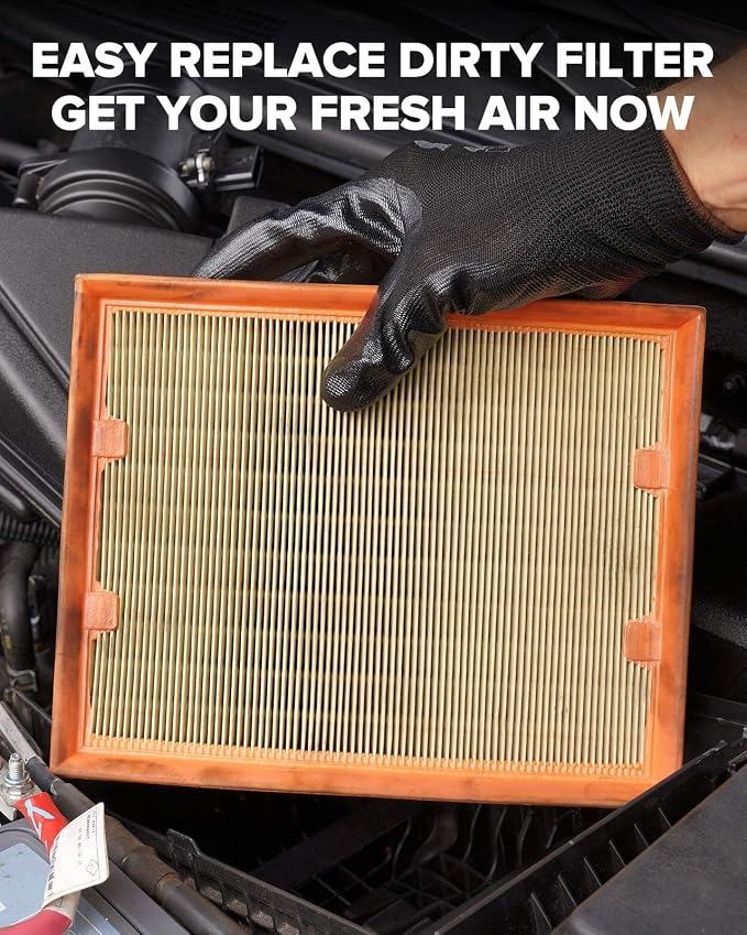 PHILTOP Engine Air Filter CA10234 Replacement