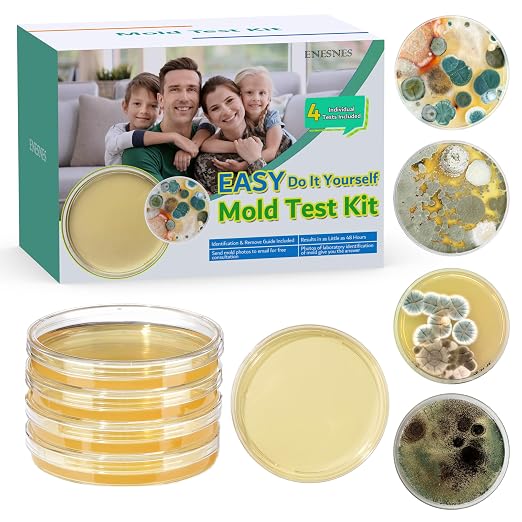 Mold Test Kit for Home
