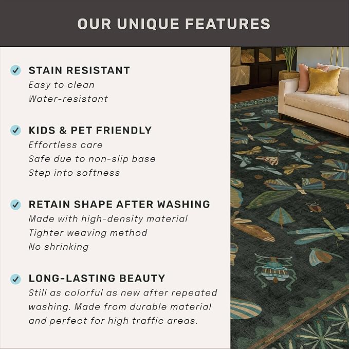 3x4 Unique Entryway Rug