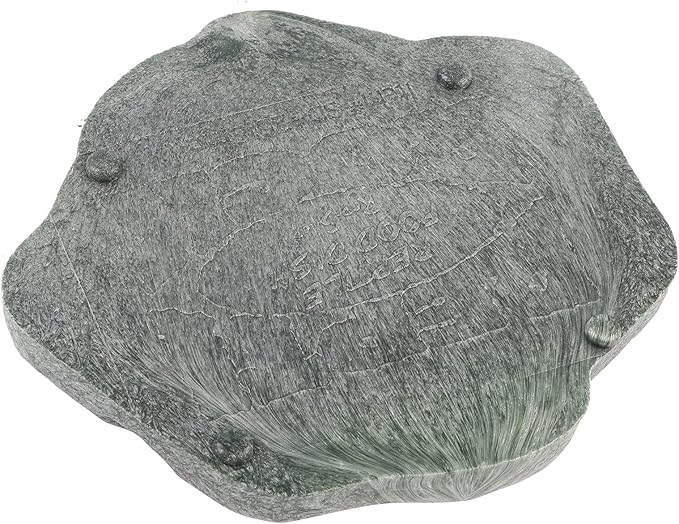 Ejoyous Reptile Water Dish, ABS Reptile Rock Reptiles Feeding Food Bowl Water Dish, Reptile Terrarium Decor Accessories for Tortoise Lizard Turtle Frog Leopard Gecko (S)