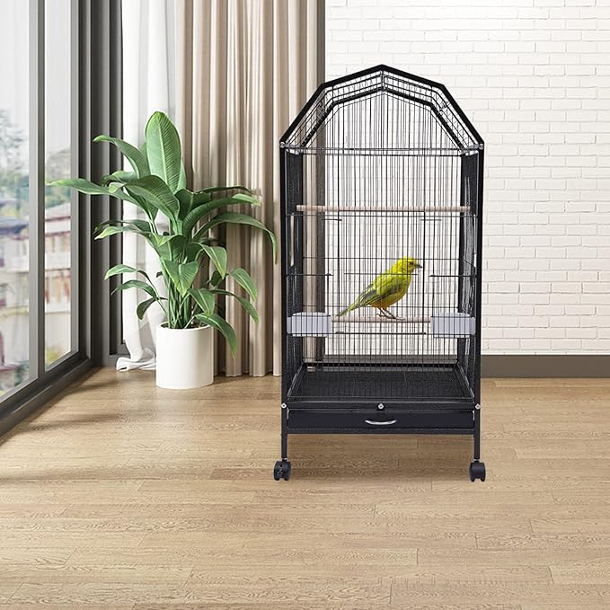 Large Bird Cage with Stand, “18 x 18 x 40” Black Metal Flight Bird Cage for Parrots, Cockatoos, Parakeets, and Small Birds, 5 Doors and Wheels, Includes Feeding Cups