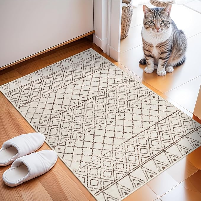 Small Rug 2x3 Washable