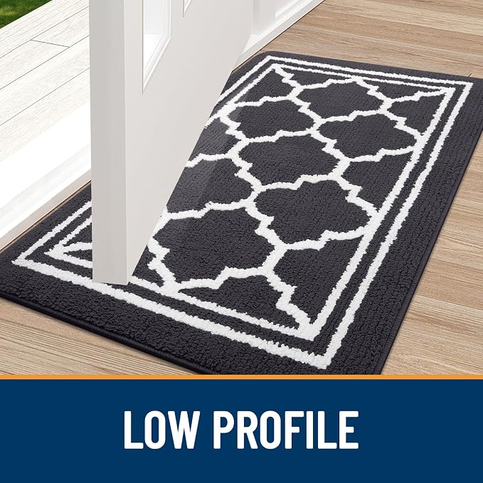 Buganda Indoor Door Mat, Dirt-Resistant and Absorbent Doormat, Low Profile