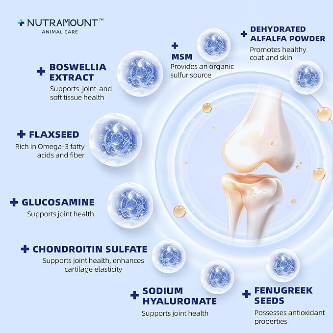 Glucosamine for Horses Joint Supplement for Horses Glucosamine Chondroitin Support Cartilage Health & Joint Mobility Horse Supplements 750g