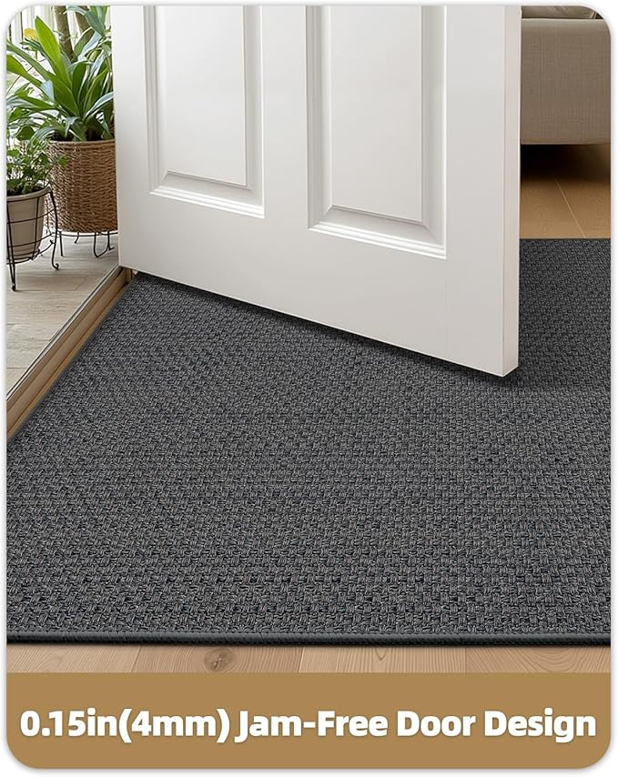 Color&Geometry Ultra-Thin Indoor Door Mat, Washable Doormat