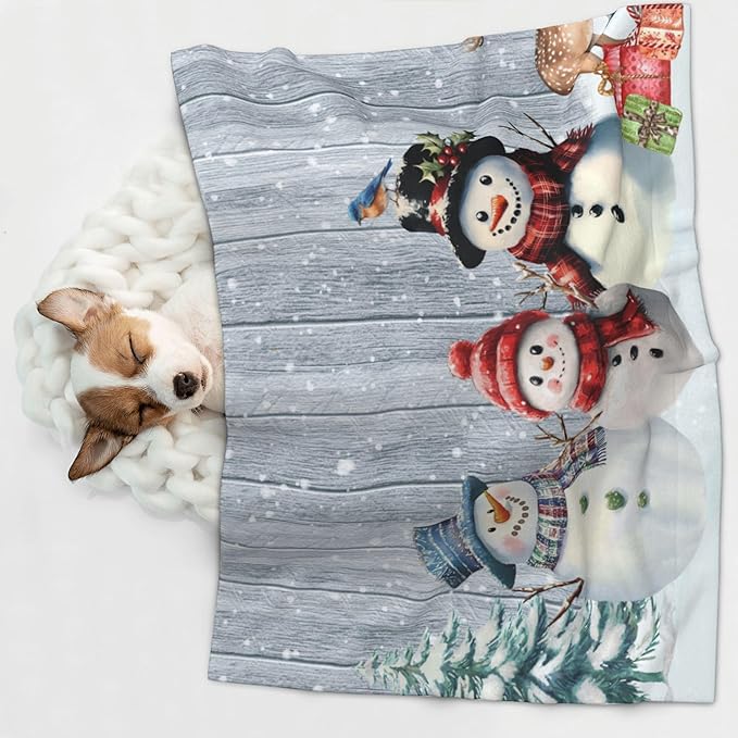 Winter Snowman Throw Blanket - Wodden Blanket for Dog Cat Snowy Pet Blankets 30x20 for Couch Sofa Bed