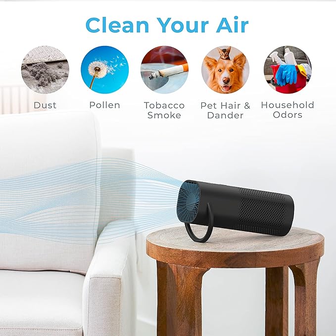 Pure Enrichment PureZone Mini Portable Air Purifier