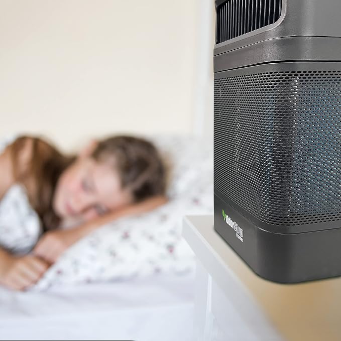 OdorStop OSAP2B HEPA Air Purifier