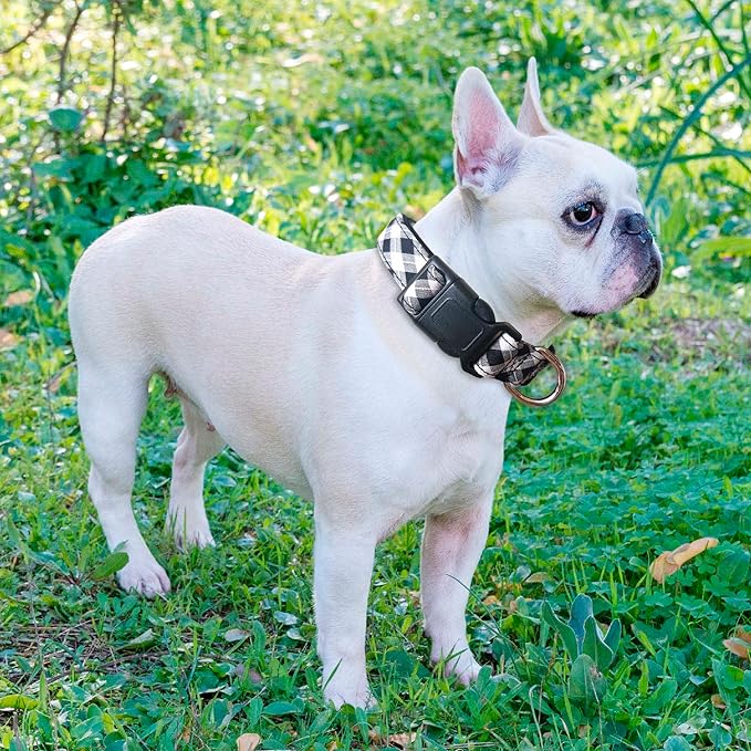 Reflective Dog Collar Padded with Soft Neoprene Breathable Adjustable Nylon Dog Collars for Small Medium Large Dogs (Medium (Pack of 1), Black Plaid Collar+Leash)