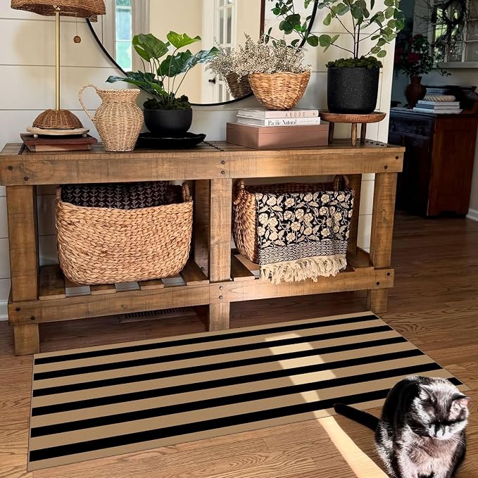 Front Door Mat Indoor Entrance