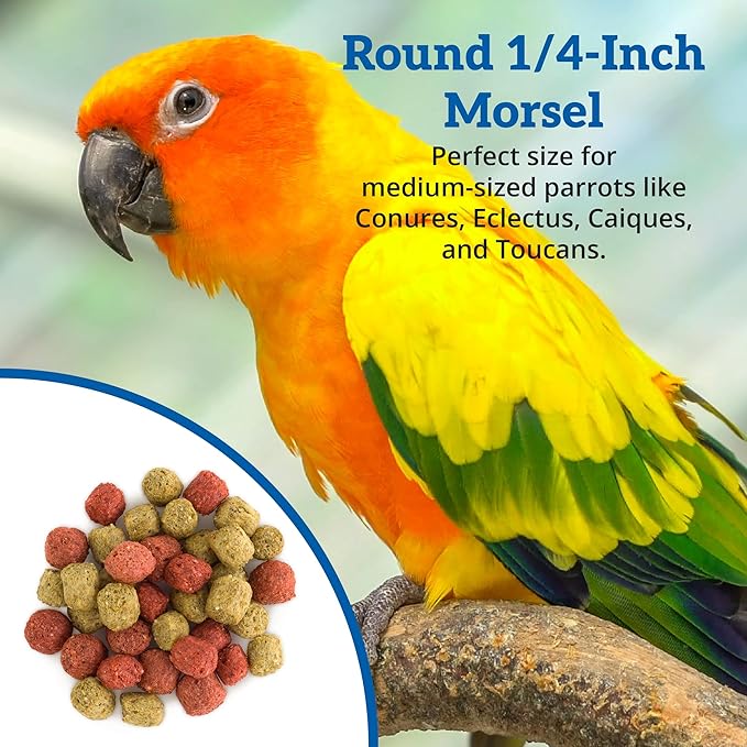 Scenic Mix Paradise Premium Parrot Food - Apple & Natural Flavors, High Protein, Low Iron Conure Bird Food, Eclectus & Other Small Pet Parrots, Omega 3, Vitamins & Minerals, 1 LB Bag