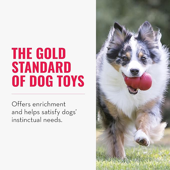 KONG Classic Stuffable Dog Toy - Fetch & Chew Toy for Dogs - Treat-Filling Capabilities & Erratic Bounce for Extended Play Time - Durable Natural Rubber Material - for Medium Dogs