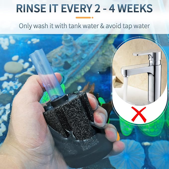 Pawfly Large Aquarium Bio Sponge Filter Quiet Betta Fry Shrimp and Small Fish