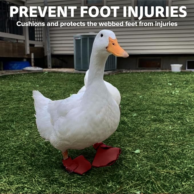 Duck Shoes for Injured Feet – Protective Neoprene Footwear for Ducks, Protective Shoes for Birds with Injured feet, Bumblefoot Relief - Large, 4.5” Max. Inside Width - Red