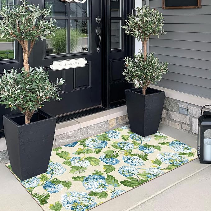 Front Door Mat Indoor Entrance
