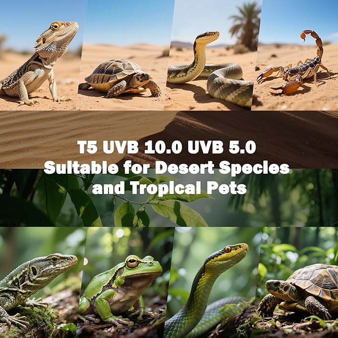 T5 10.0 UVB Reptile Light Fixture, T5 UVA UVB Light Tube Lamp Blub 24W 22" for Bearded Dragon, Tortoise,Desert Lizards,Leopard Gecko,Reptile & Amphibian Lamp